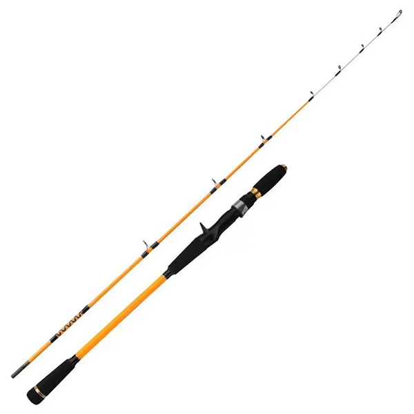 Canne à pêche spinning en mer  - Fishing Rod Surf avis et prix